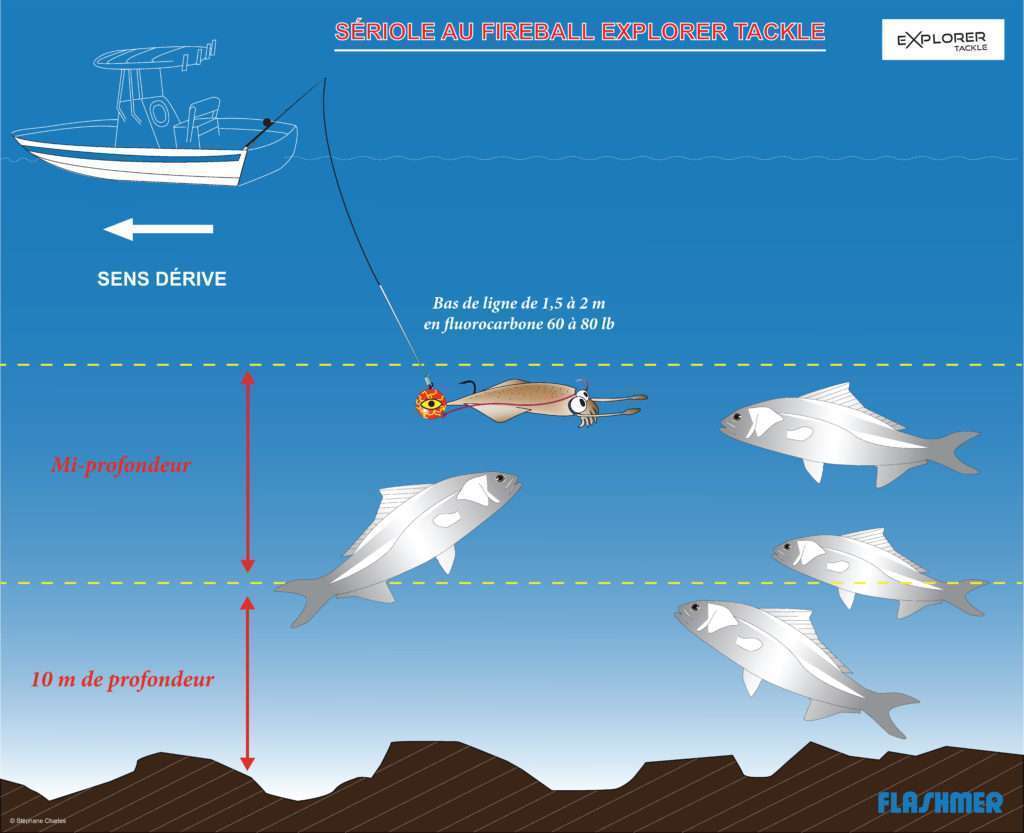 Pêche de la sériole  à l’Explorer Fireball Explorer Tackle