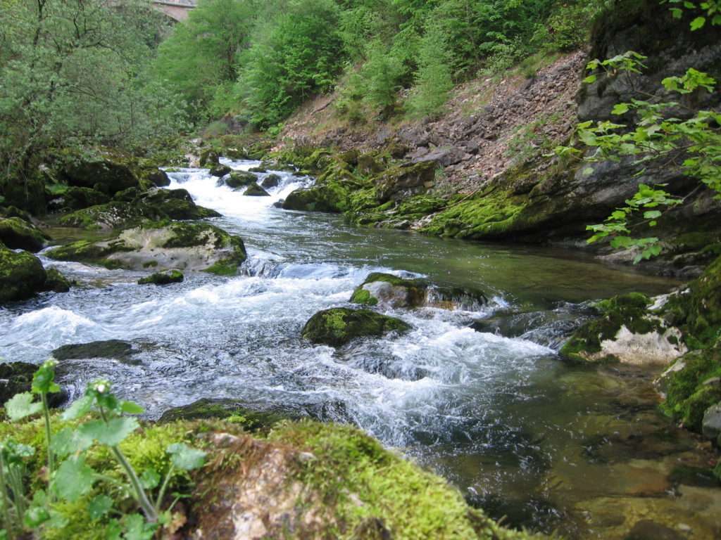 Belle rivière à truites ! 