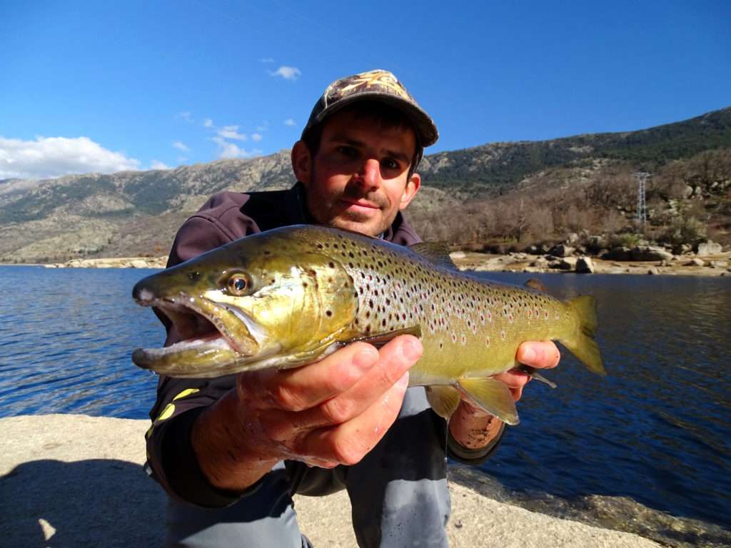 Magnifique truite prise par Etienne ! 