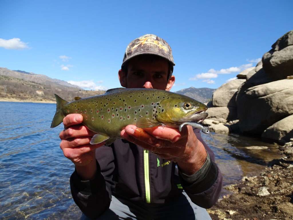 Belle truite prise au Grubster Lunker City par Etienne Goletto