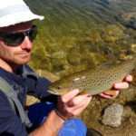 Truites : l’indispensable Pin’s Minnow Sinking !
