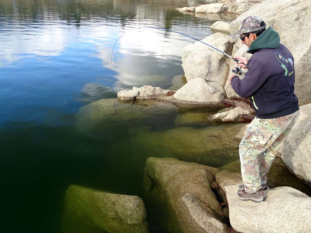 Le Pin’s Minnow Sinking est idéal pour les pêches en lac !