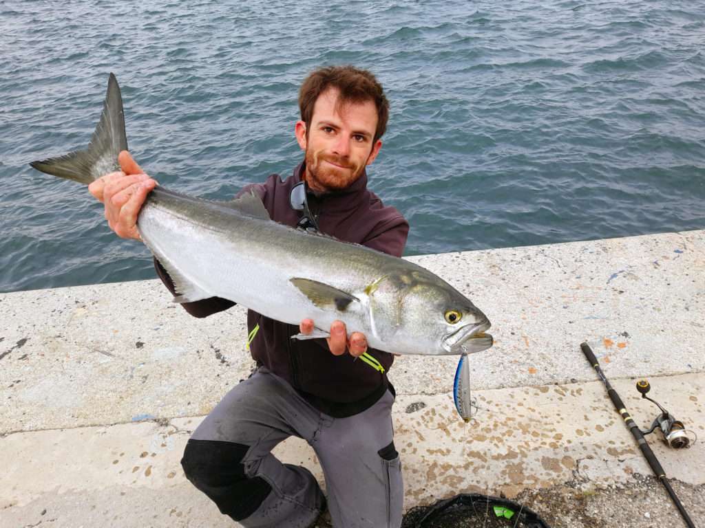 Tassergal de 75 cm pour prés de 4 kg : le record de Colin grâce à l’Hydro Minnow Yo-Zuri !