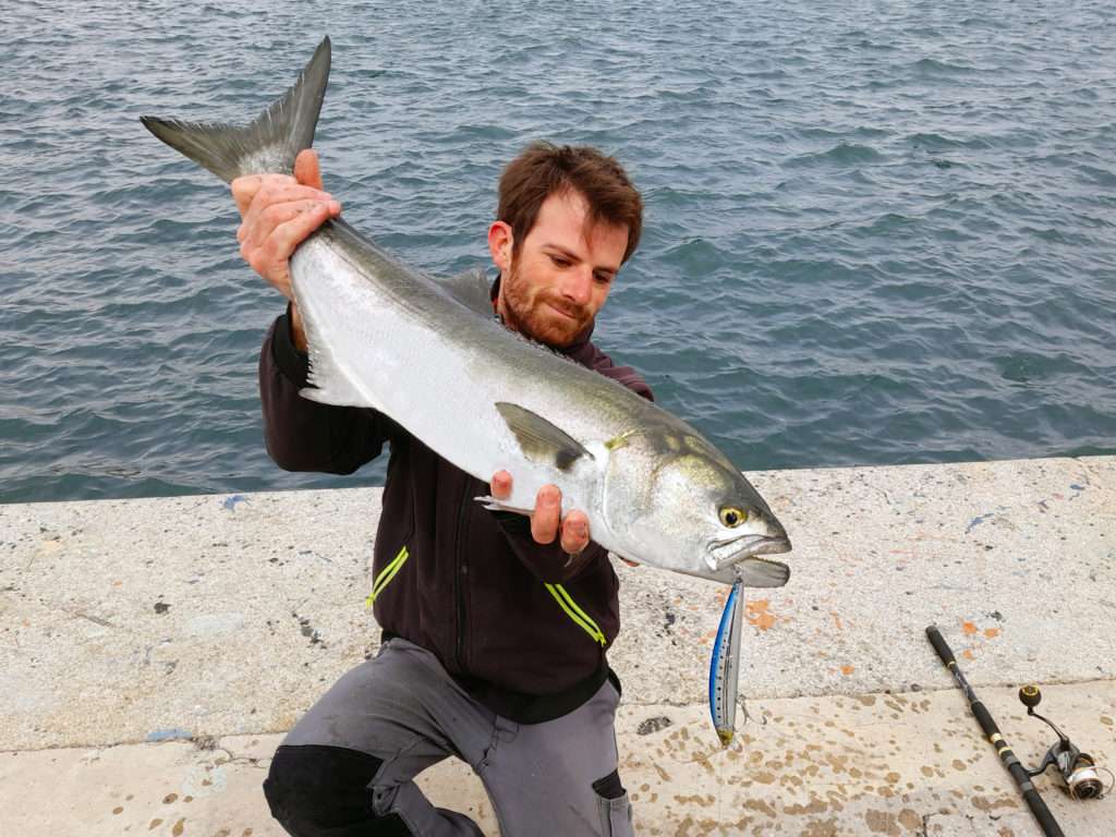 Tassergal record pris à l’Hydro Minnow Yo-Zuri par Colin !