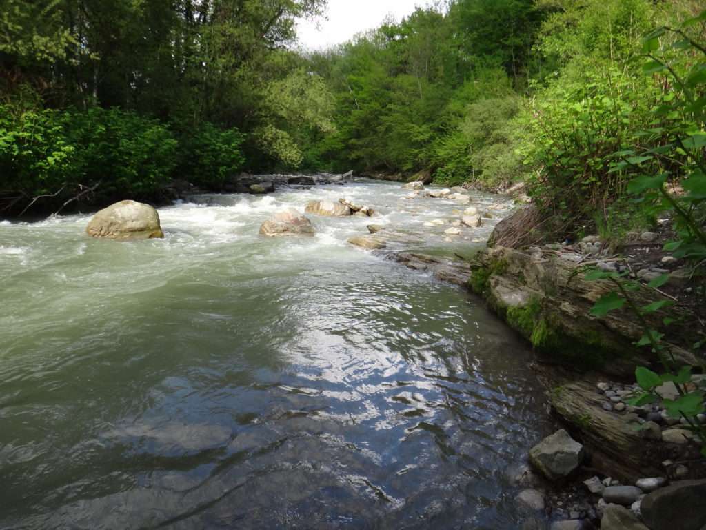 Le Pin’s Minnow Sinking sera parfait pour prospecter ce type de rivière 