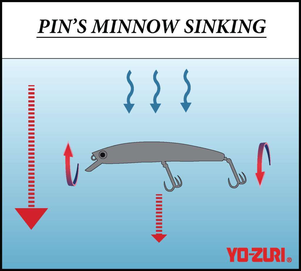 Pin’s Minnow Sinking : attractif même à la descente !