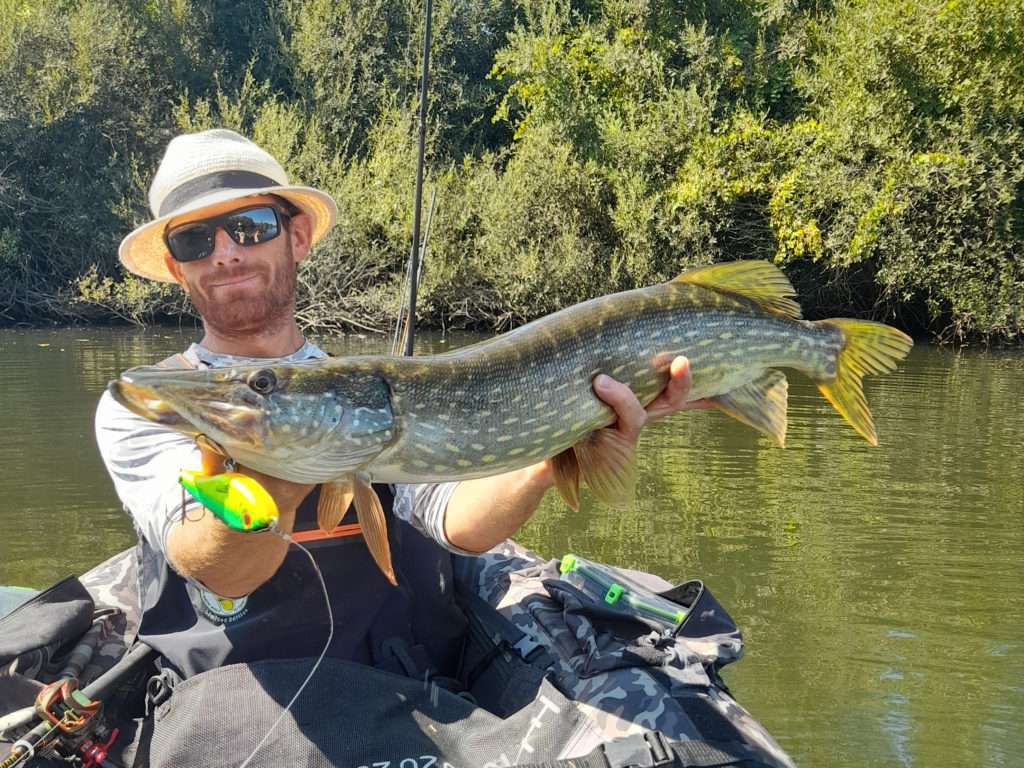 Beau brochet à l’Herky Jerky Bomber pour Colin !