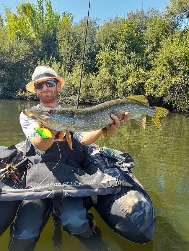 Beau brochet à l’Herky Jerky Bomber pour Colin !