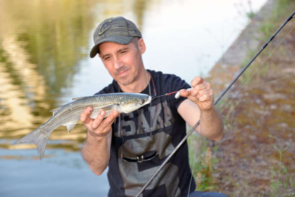 La pêche à la cuiller à mulets est aussi productive que fun ! 