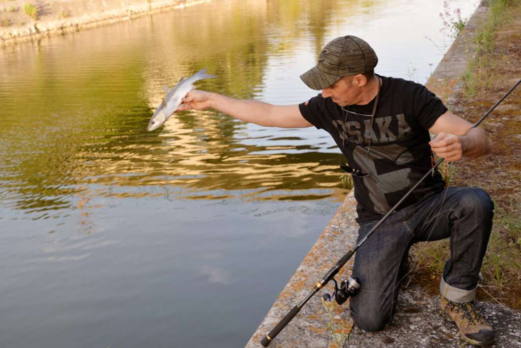 Le mulet est un poisson résistant qui se relâche très bien ! 