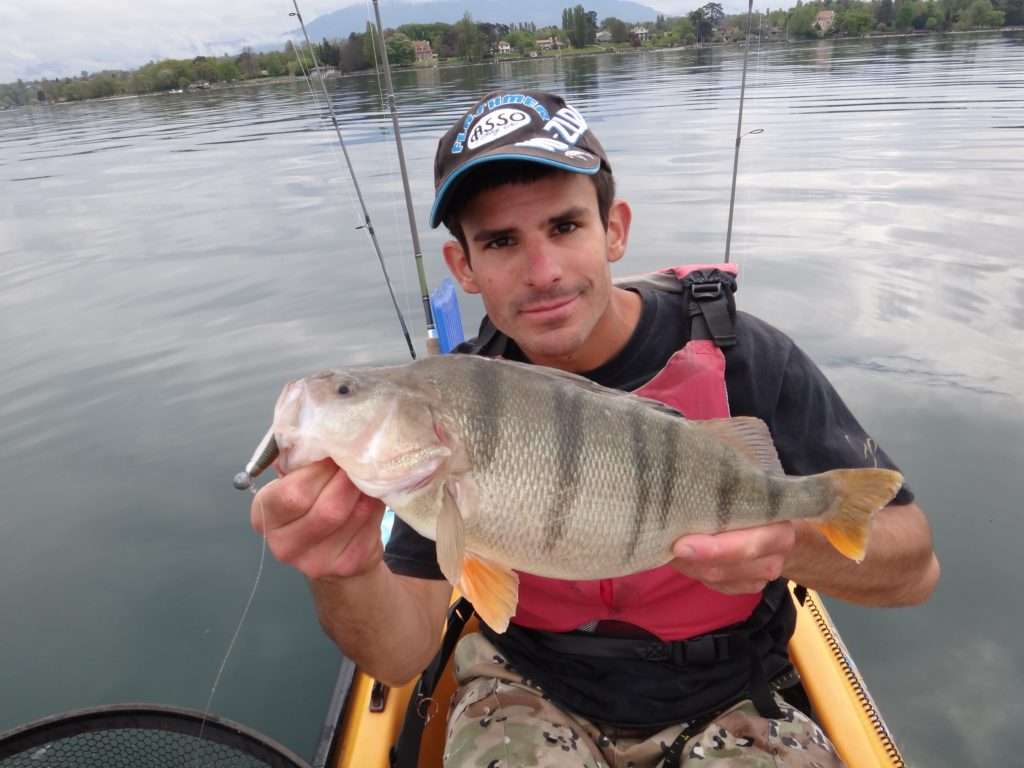 Perche prise au Grubster Lunker City monté sur une tête plombée ronde