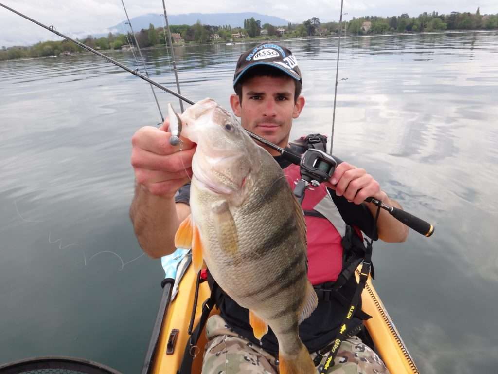 Magnifique perche prise au Grubster Lunker City par Etienne Goletto