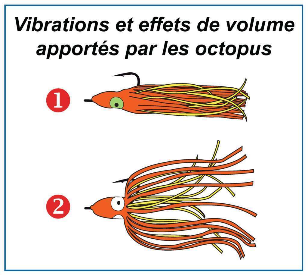 Vibrations et effets de volume des octopus