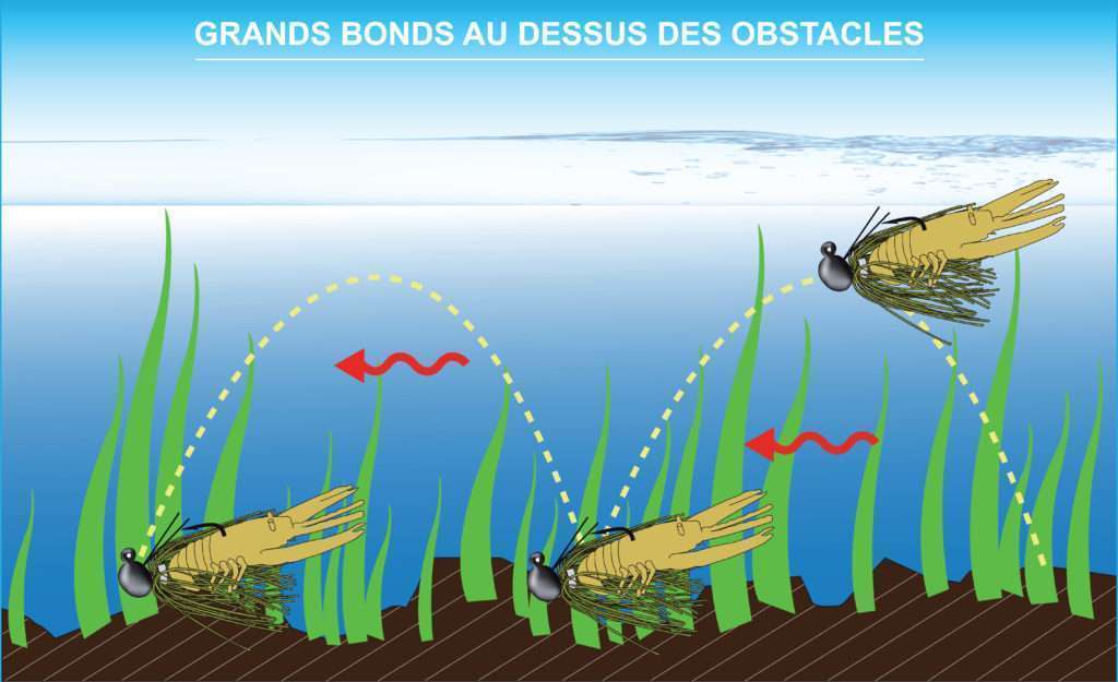 Pêche à gratter avec un rubber jig doté d’une d’une Crawbug: maniement avec de petits bonds entrecoupés de pauses courtes