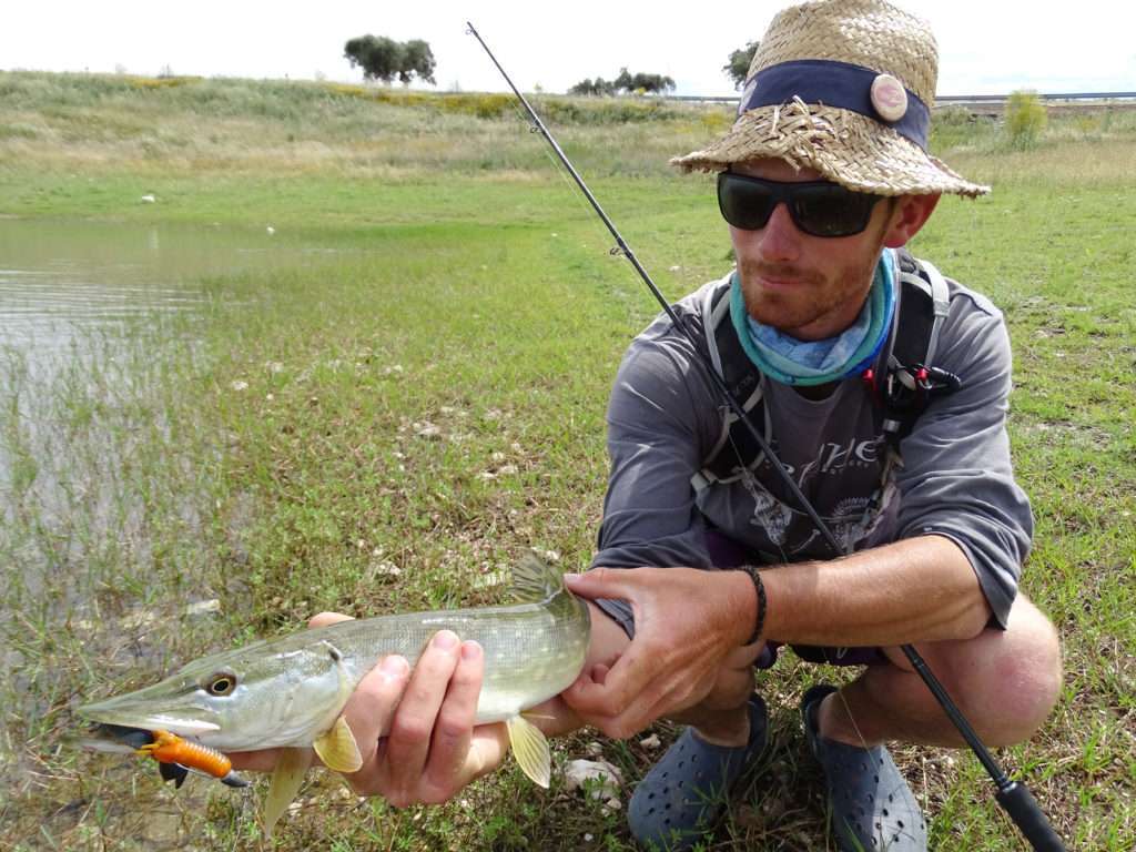 Brochet pris par colin avec une Craw Chunk montée sur une Finess nose