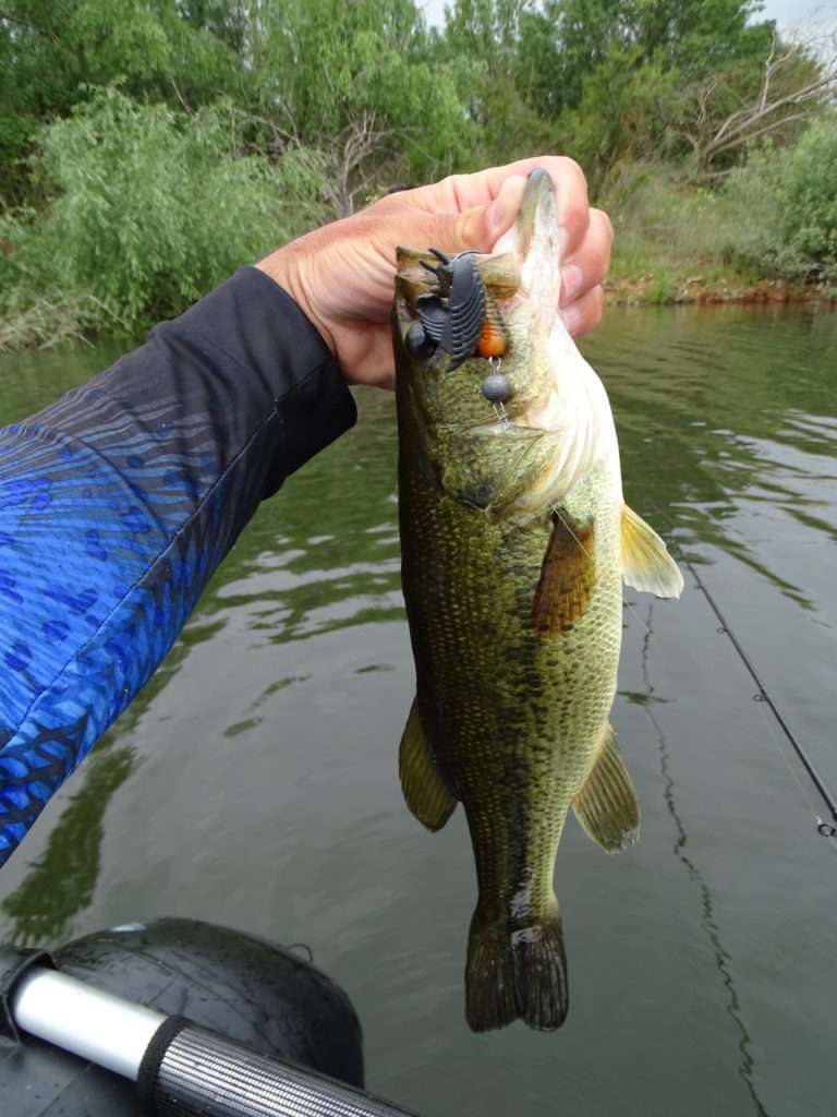 Bass pris avec une Texas Free Jig Head Scratch Tackle et une Craw Chunk