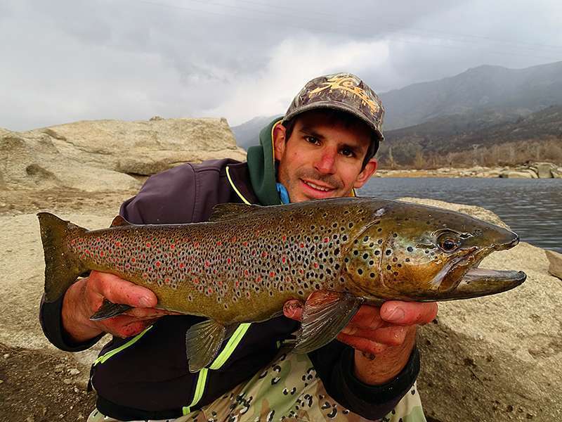 Magnifique truite prise au leurre par Etienne du team Flashmer !