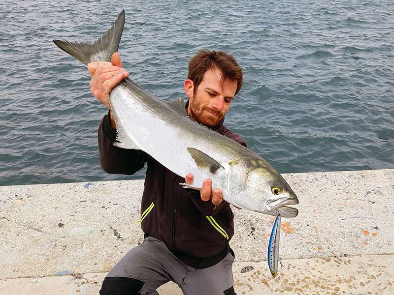 Enorme tassergal pris par Colin à l'hydro Minnow Yo-Zuri ! 