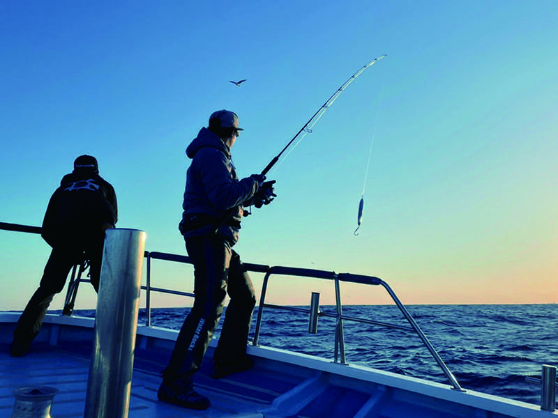 Tests & Avis Cannes à Pêche Casting Carnassiers - Fish and Test