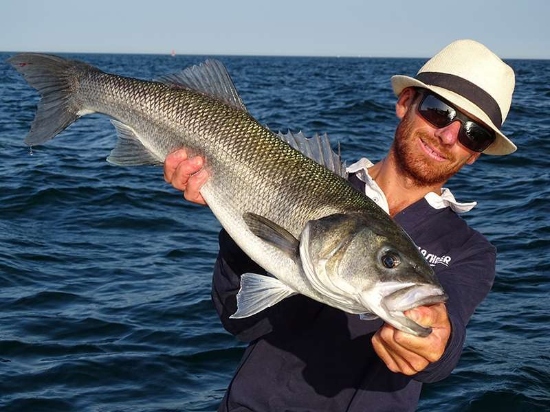 Joli bar pêché au Blue Shad Flashmer par Colin ! 