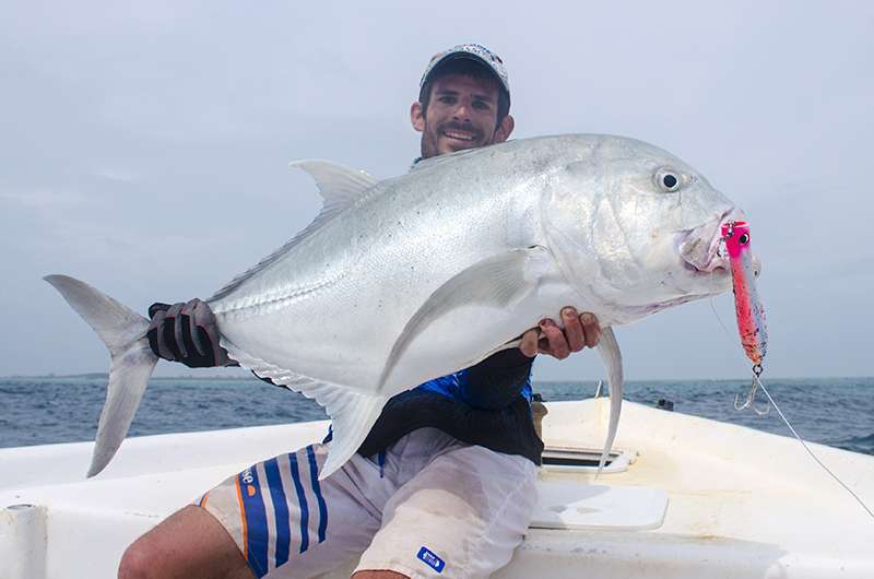 La gamme des Kuroshio OC ravira les amateurs de pêches en surface en exotique ! 