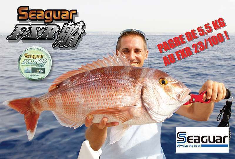 Pagre de 5,5 kg pris avec du FXR SEAGUAR 23/100 !