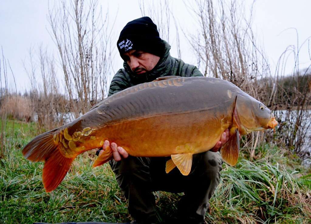 Magnifique carpe pêchée par Arnaud Colas !