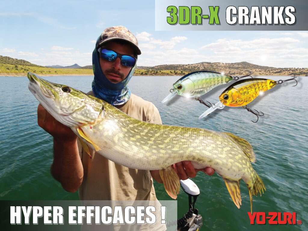 Cranks 3DR-X Yo Zuri : hyper efficaces !