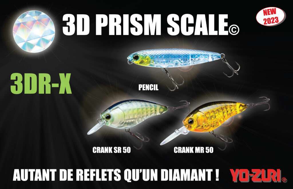 3DR-X : la technologie 3D Prism Scale©