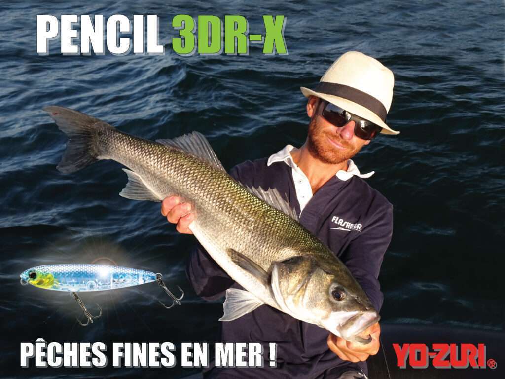 Le 3DR-X Pencil Yo Zuri est parfait pour pêcher le bar en mer ! 