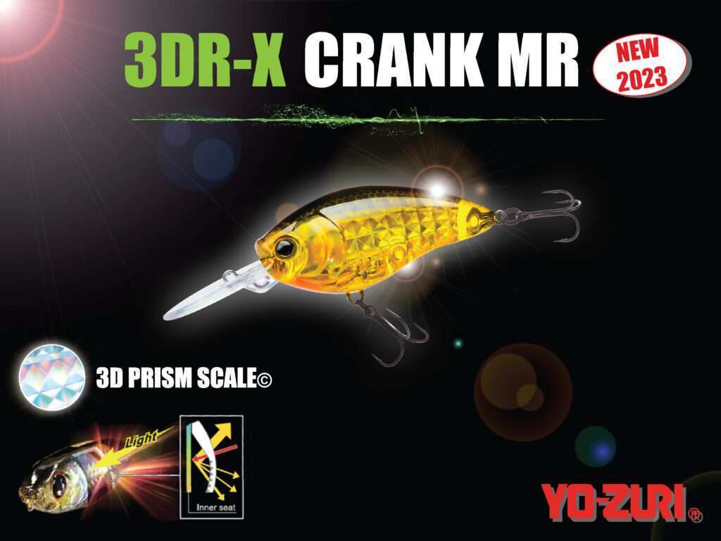 3DR-X Crank MR