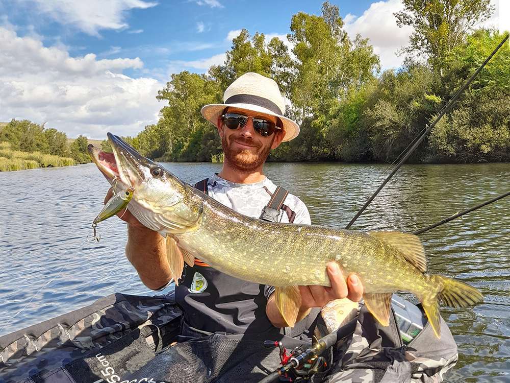 Magnifique brochet pris par Colin avec un 3D Inshore Twitchbait !