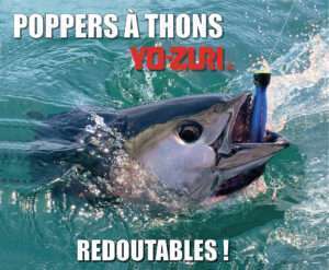 Thons rouges aux poppers Yo-Zuri !