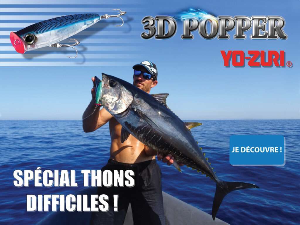 3D Popper : spécial thons difficiles ! 