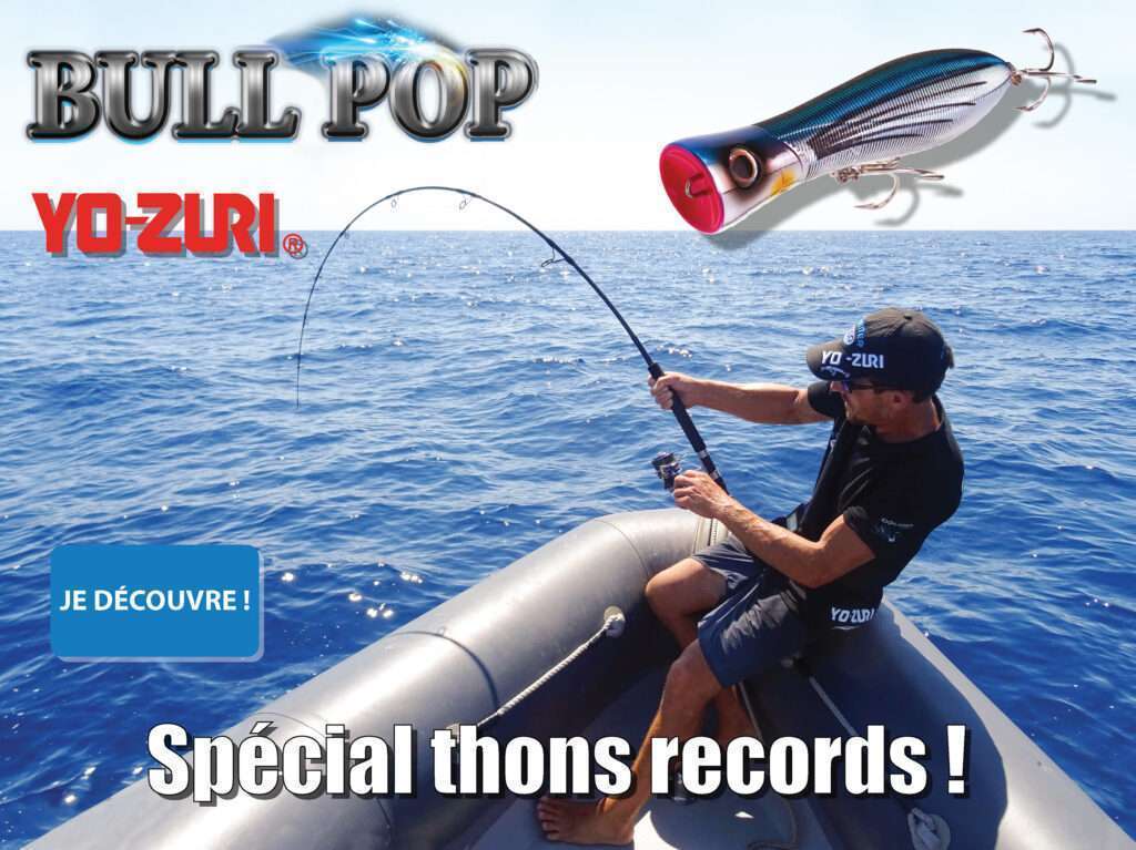 Bull Pop : spécial thons records !