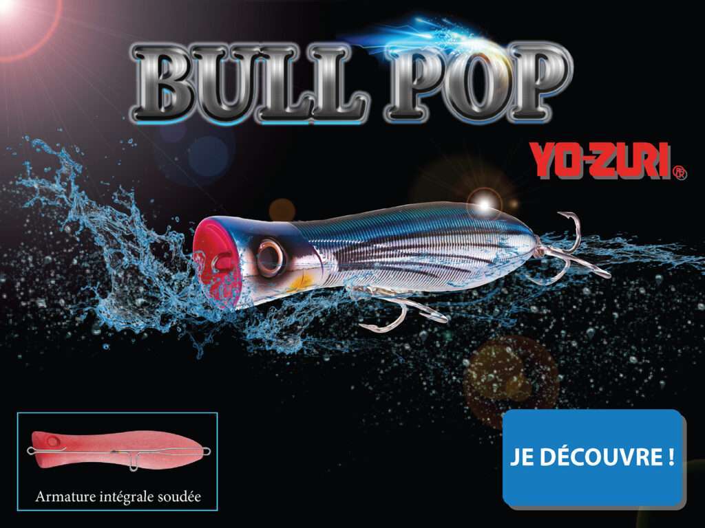 Bull Pop : spécial thons records ! 