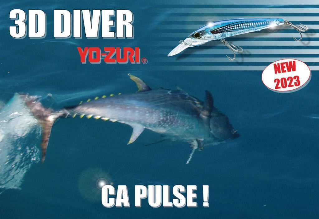 3 D Diver : spécial thons !