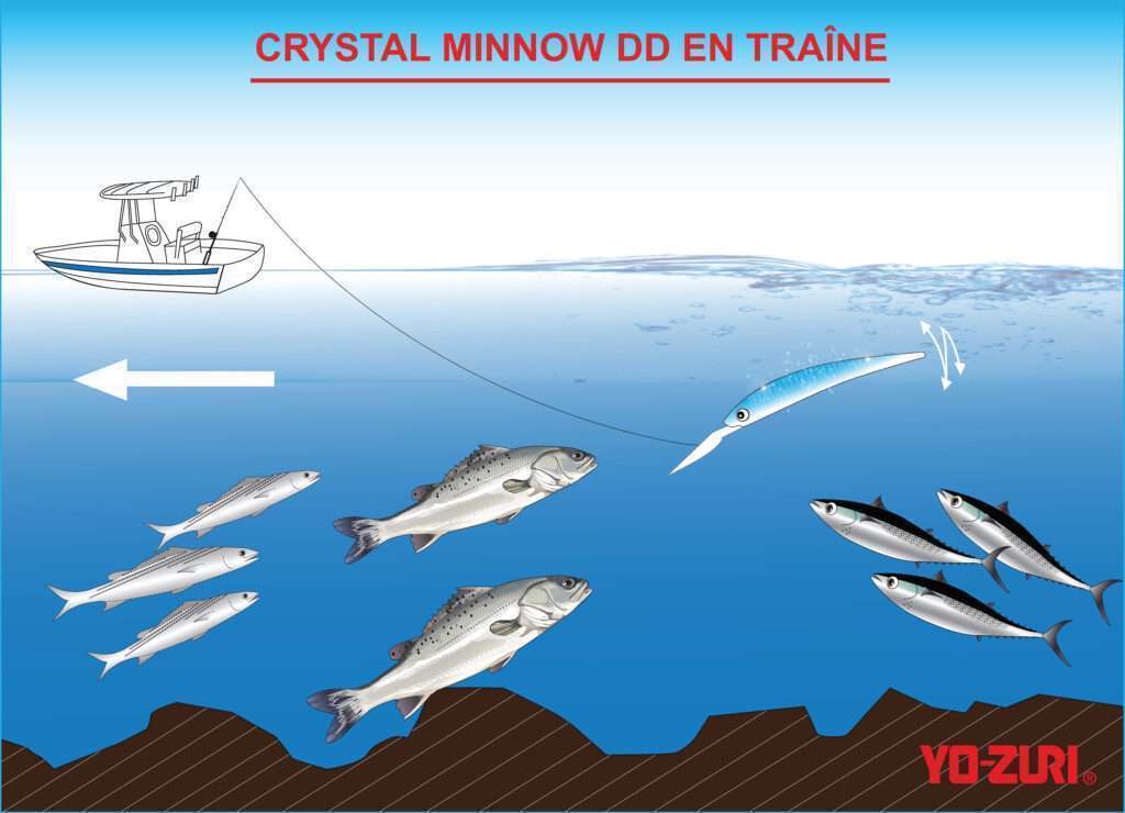 Le Crystal Minnow Deep Diver Yo-Zuri est une véritable référence pour la traine légère !