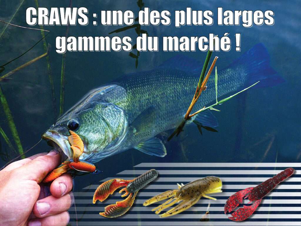 Seaux à Vifs Scratch Tackle 10 Litres Pour Pêche Des Carnassiers