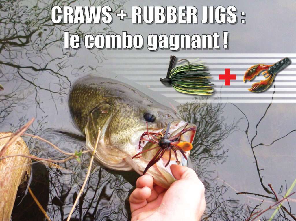Rubber jigs + Craws : l'association gagnante ! - Blog Flashmer