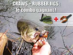 Rubber jigs + Craws : l’association gagnante !