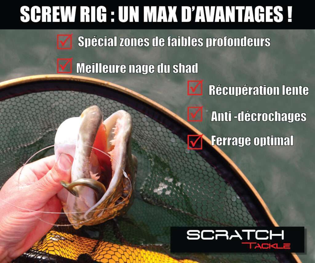 Screw Rig : un max d’avantages ! 