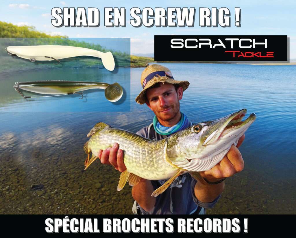 Shads montés en Screw Rig : le top pour les brochets records !