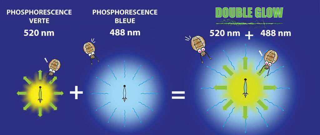 Double phosphorescence de l’Aurie-Q Search Double Glow Yo-Zuri 