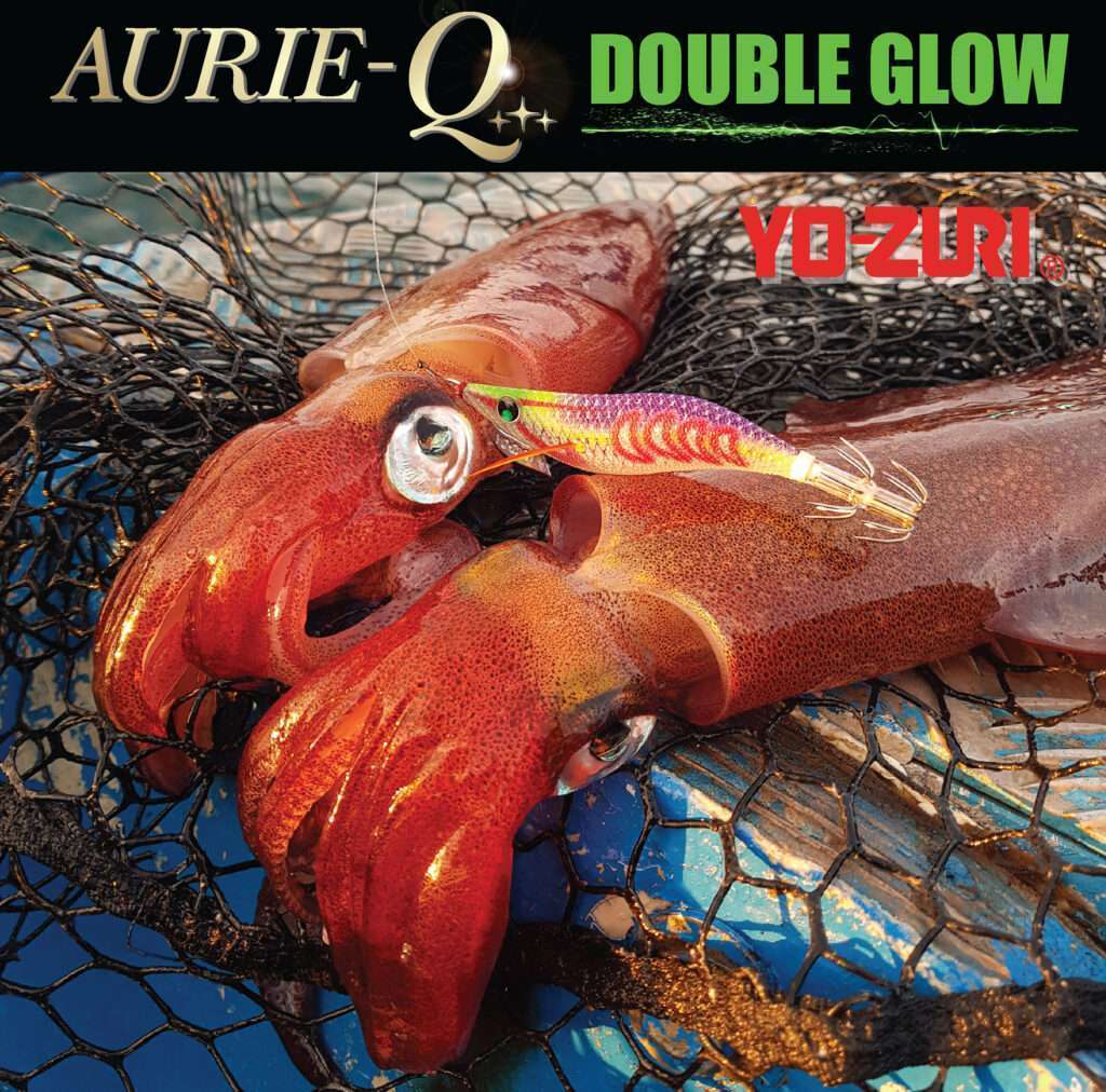 L’Aurie-Q Search Double Glow Yo-Zuri est un concentré de stimuli pour les céphalopodes ! 