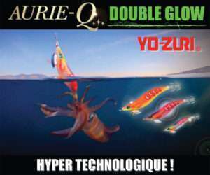 Aurie-Q Search Double Glow Yo-Zuri : l’Egi hyper technologique !