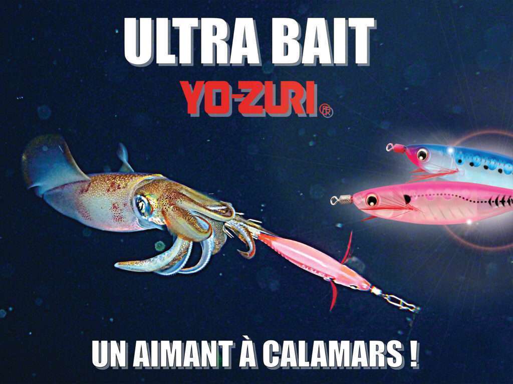 Ultra Bait Yo-Zuri : redoutable efficacité en tataki sur les céphalopodes ! 