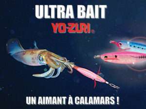 Calamars en tataki à l’Ultra Bait Yo-Zuri !
