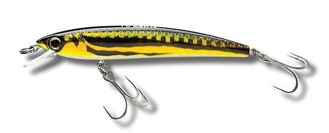 coloris Gold Flame du Pin’s Minnow Sinking