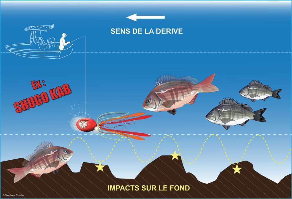 Kaburas : pêche à soutenir au ras du fond